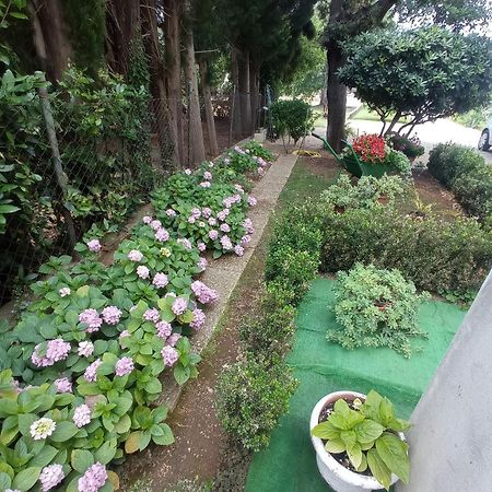 Apartmani Gaga Bibinje Luaran gambar