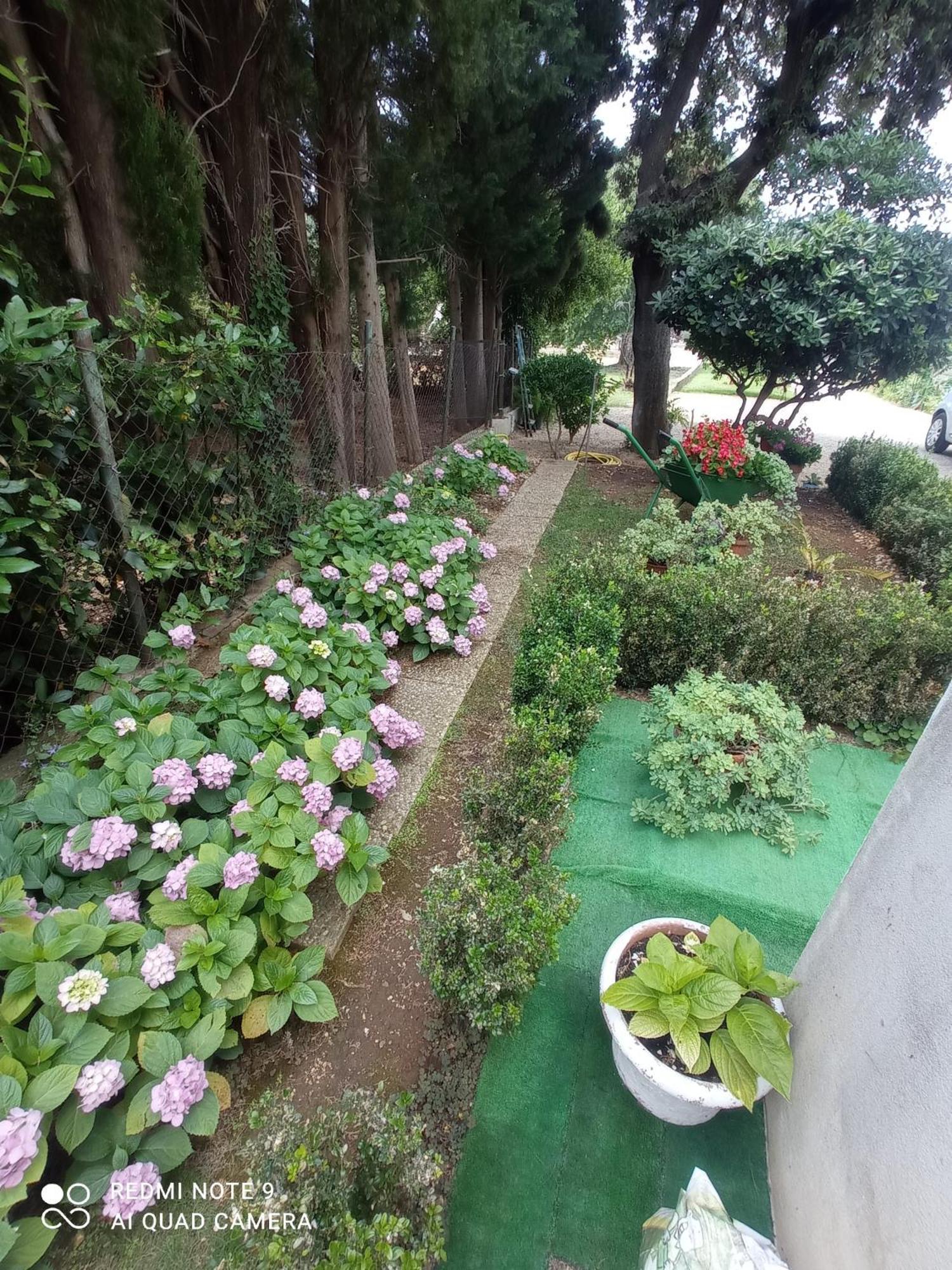Apartmani Gaga Bibinje Luaran gambar